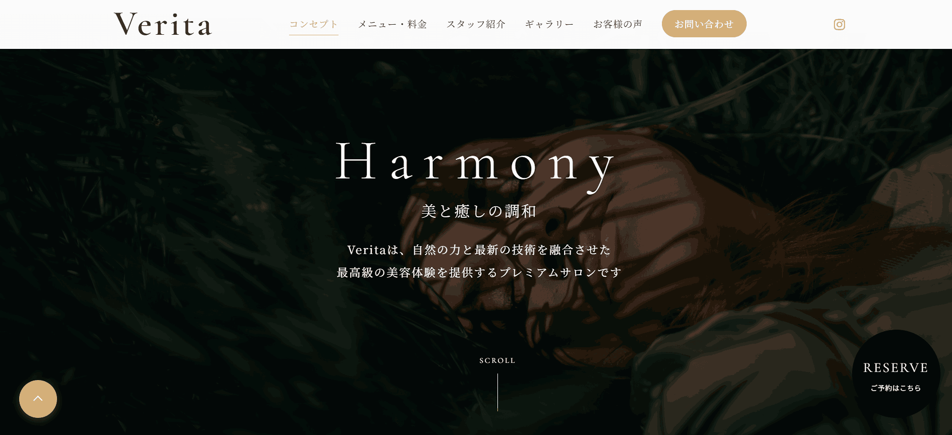 Verita PC版 - ファーストビュー